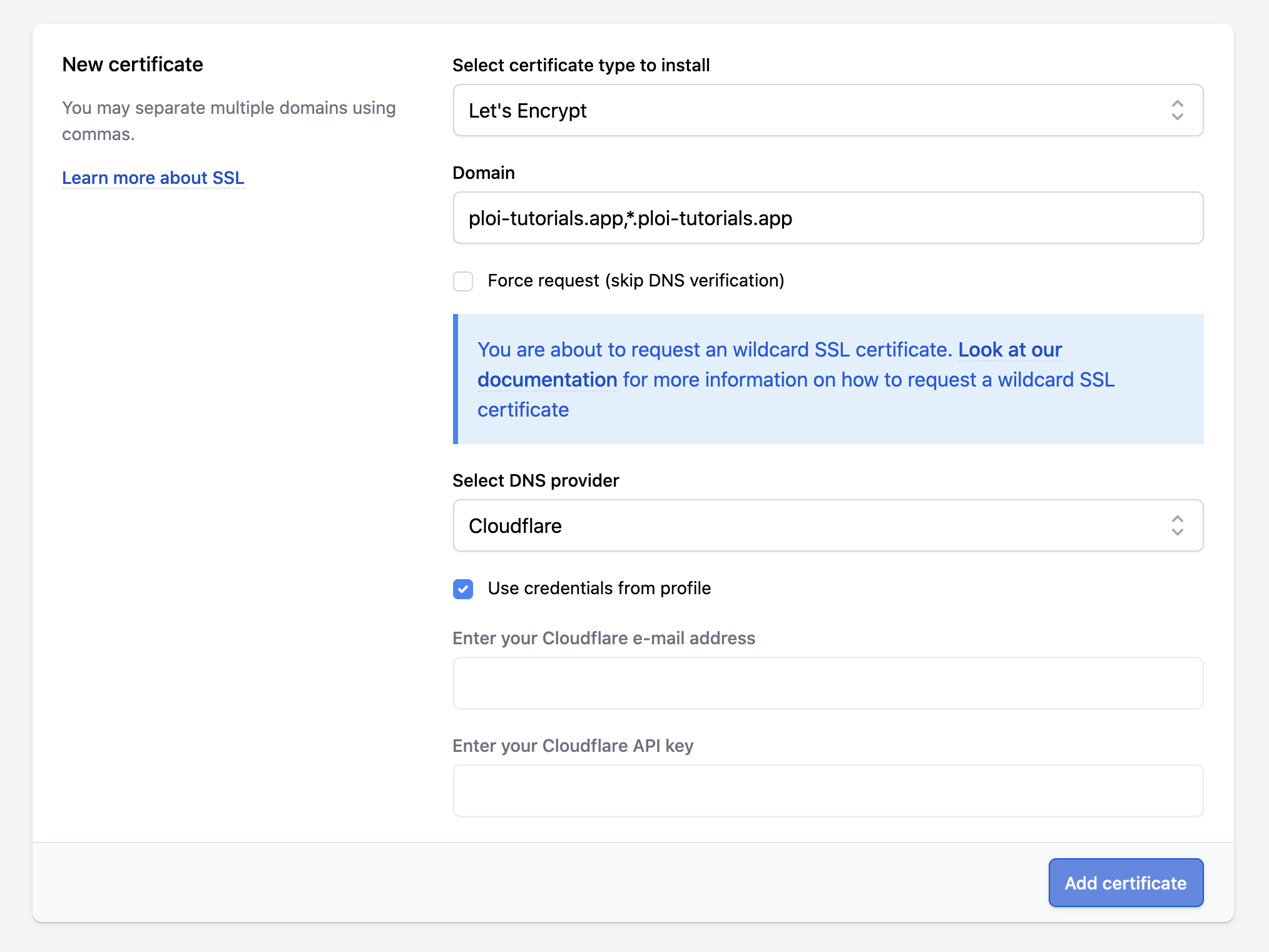 How do I request an LetsEncrypt wildcard certificate? Server